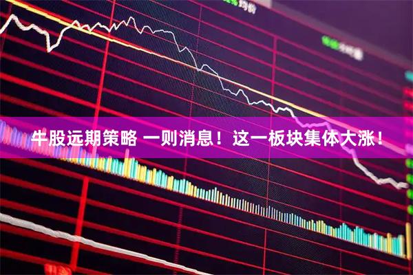 牛股远期策略 一则消息！这一板块集体大涨！