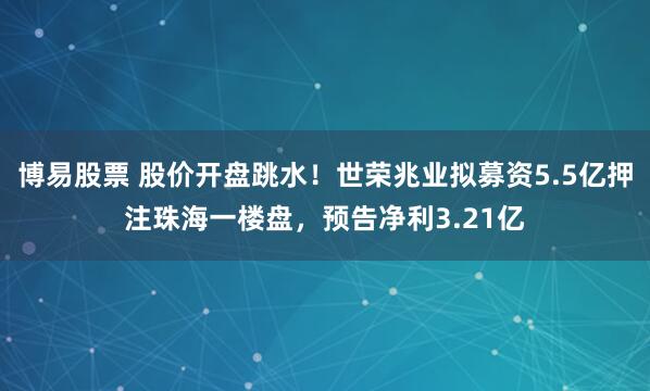 博易股票 股价开盘跳水！世荣兆业拟募资5.5亿押注珠海一楼盘，预告净利3.21亿