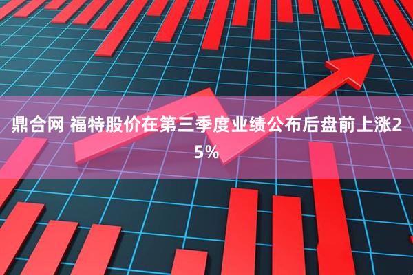 鼎合网 福特股价在第三季度业绩公布后盘前上涨25%